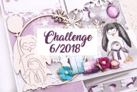 Challenge 6/2018